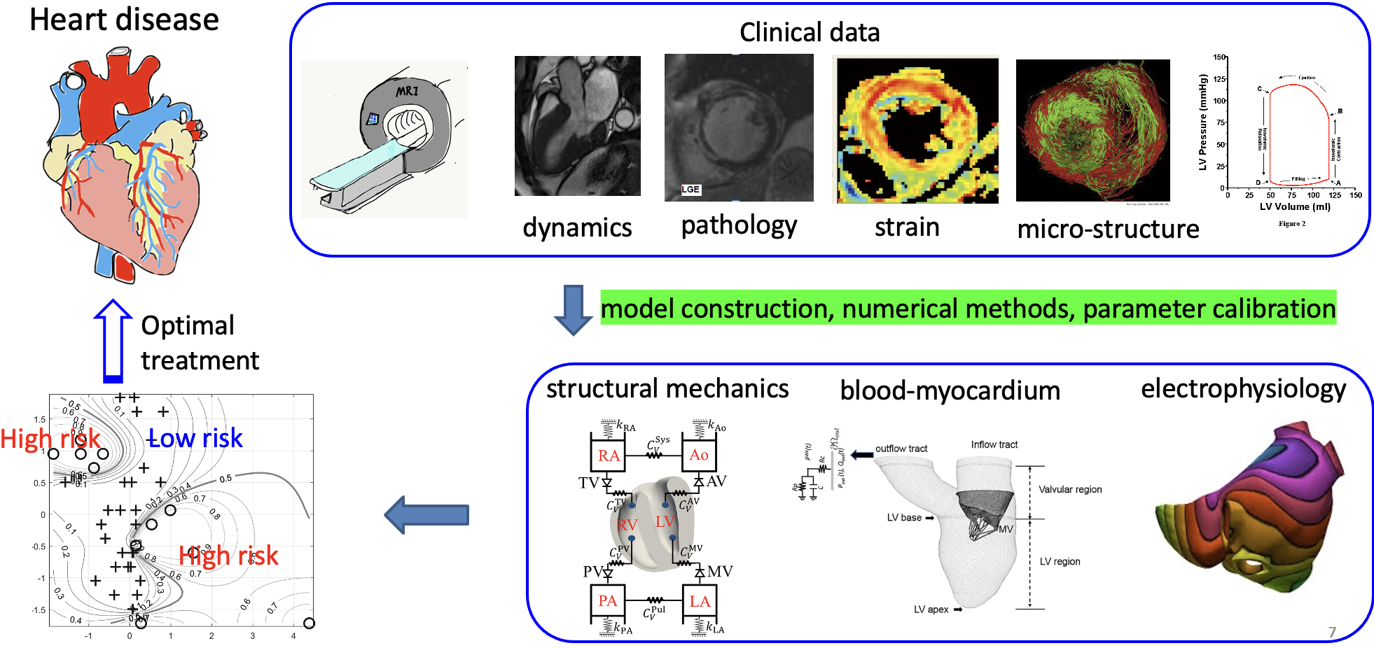 Multiscale Model